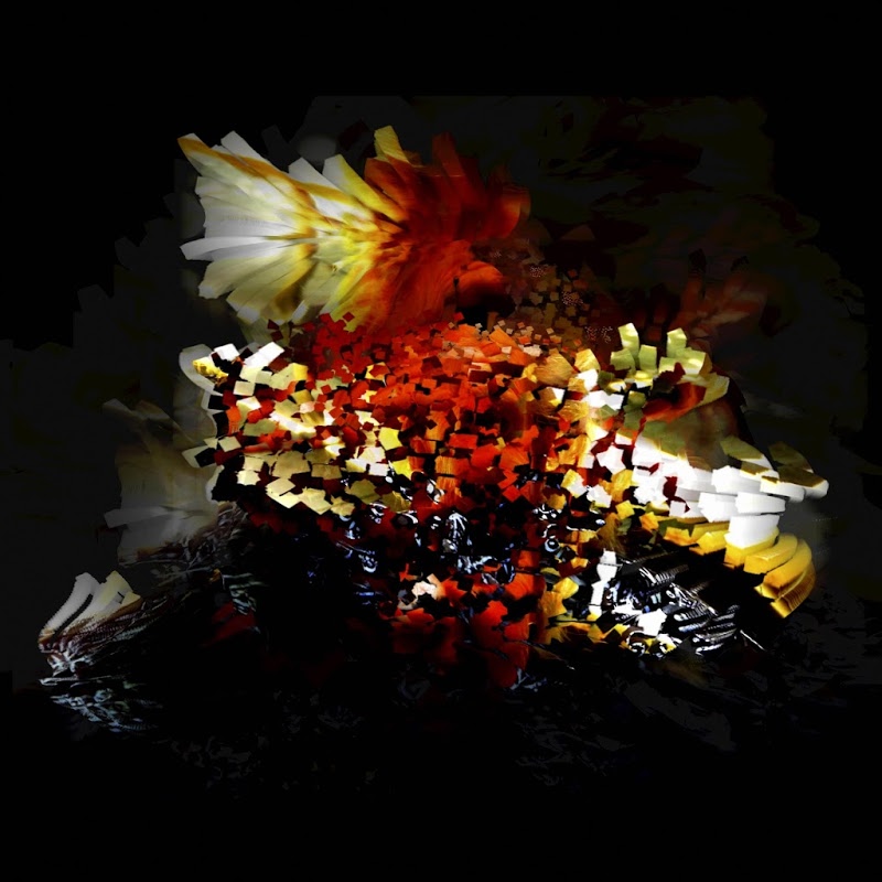 Bogus Order - Flight