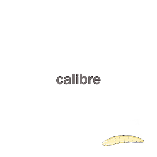 Calibre - Whos Singing