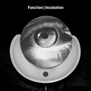 Function - Voiceprint