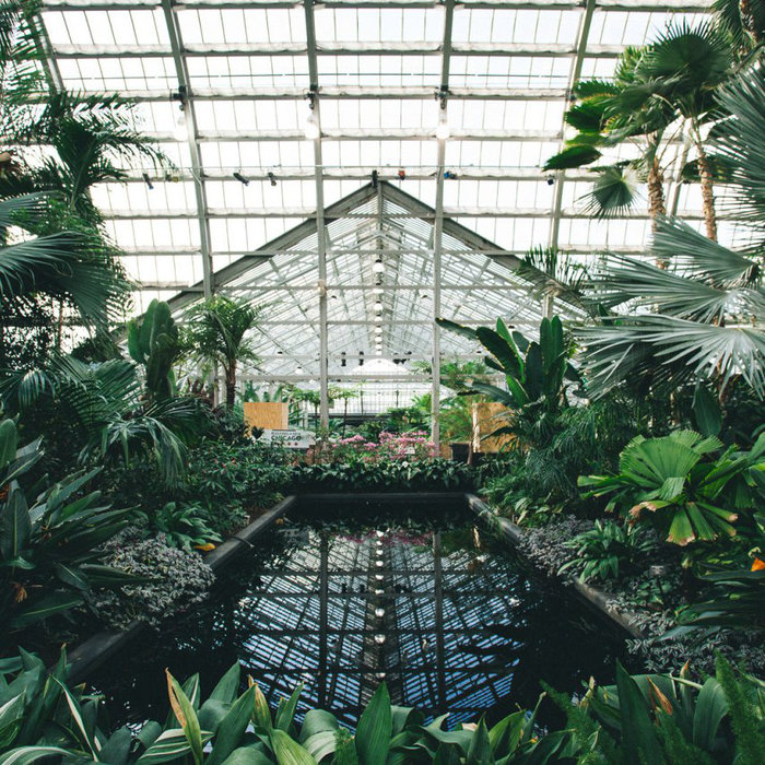 Jinsang - Egyptian Pools