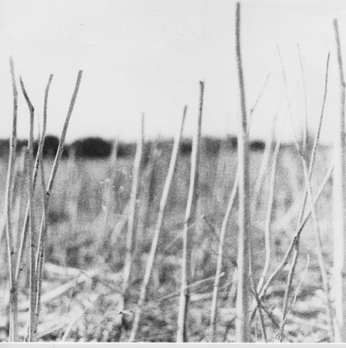 Recondite - Harbinger