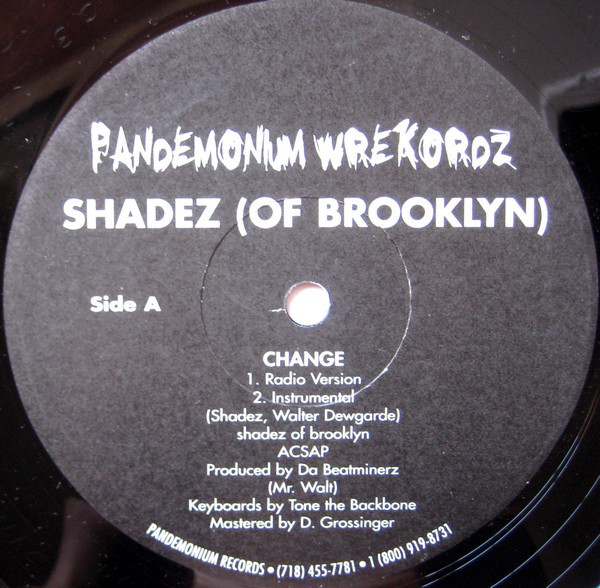 Shadez Of Brooklyn - When It Rains It Pours (Survival Warz!)