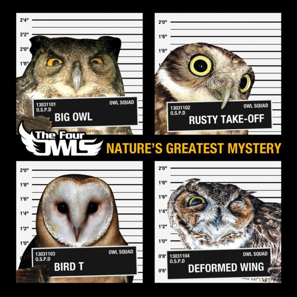 The Four Owls - Knowledge